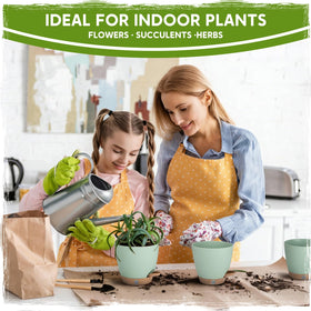 Goproauto self-watering pot shows drainage holes and detachable base tray.