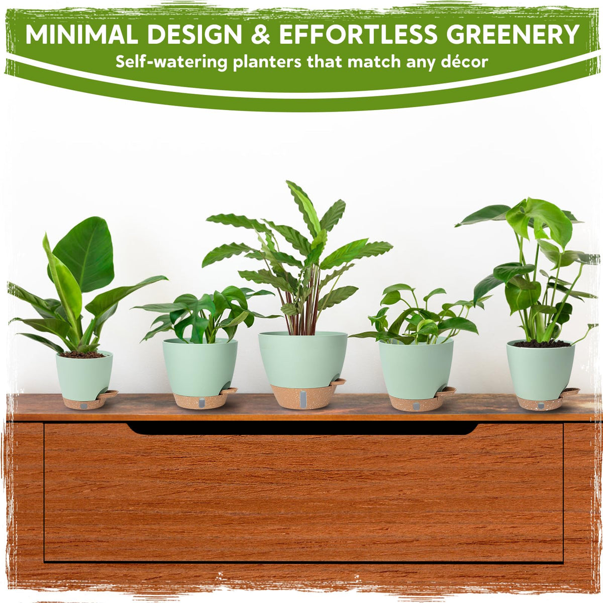 Goproauto eight-inch pot suits spider plants and peace lilies with drainage.