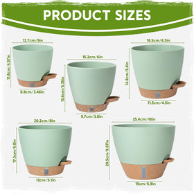 Goproauto five-inch self-watering pot ideal for compact succulents and herbs.