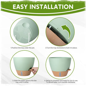 Goproauto six-inch self-watering pot great for ferns and pothos.
