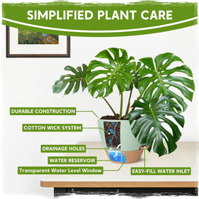 Goproauto six-point-five-inch pot supports compact flowering plants or cuttings.