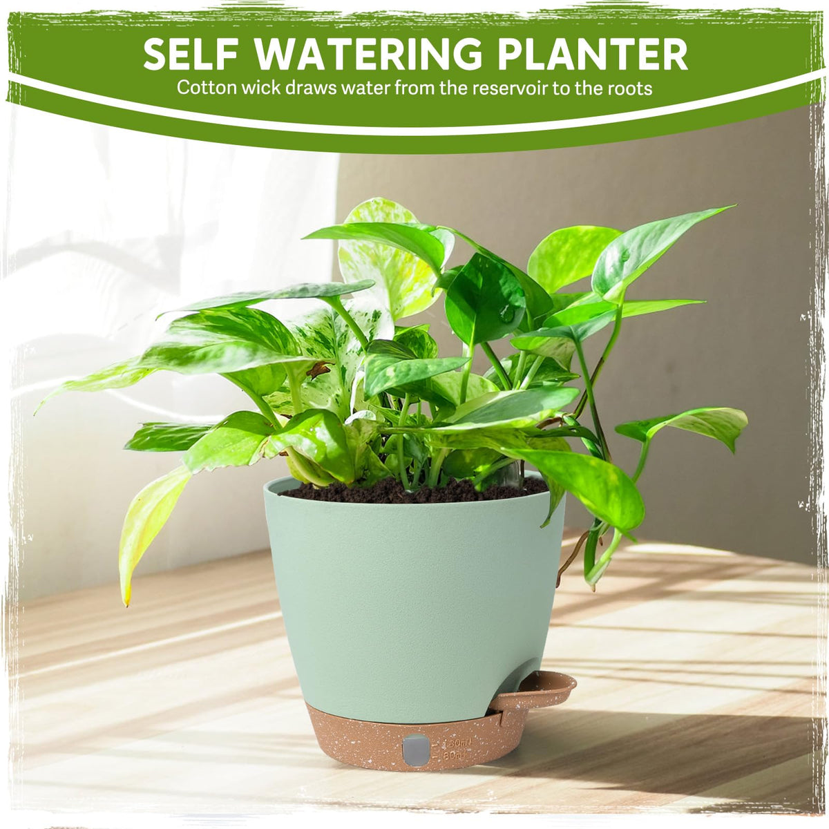 Goproauto ten-inch self-watering pot for large statement plants and a reservoir.
