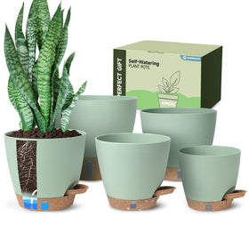 Goproauto self-watering pot with visible water window for easy moisture checks.