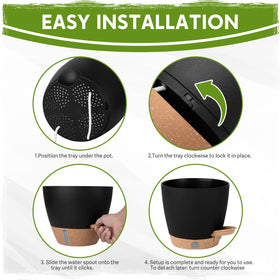 Goproauto six-inch pot for small plants and ferns