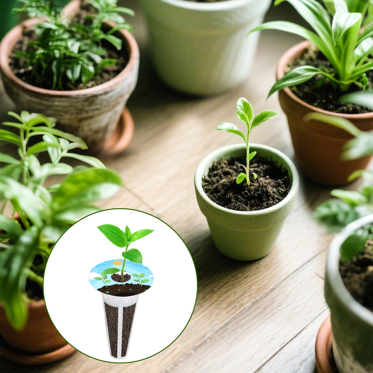 Gosknor gift-ready plant labels for gardeners and plant lovers