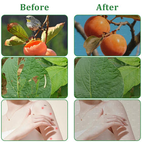 Gotorido vegetable garden protection net shields crops from pests.