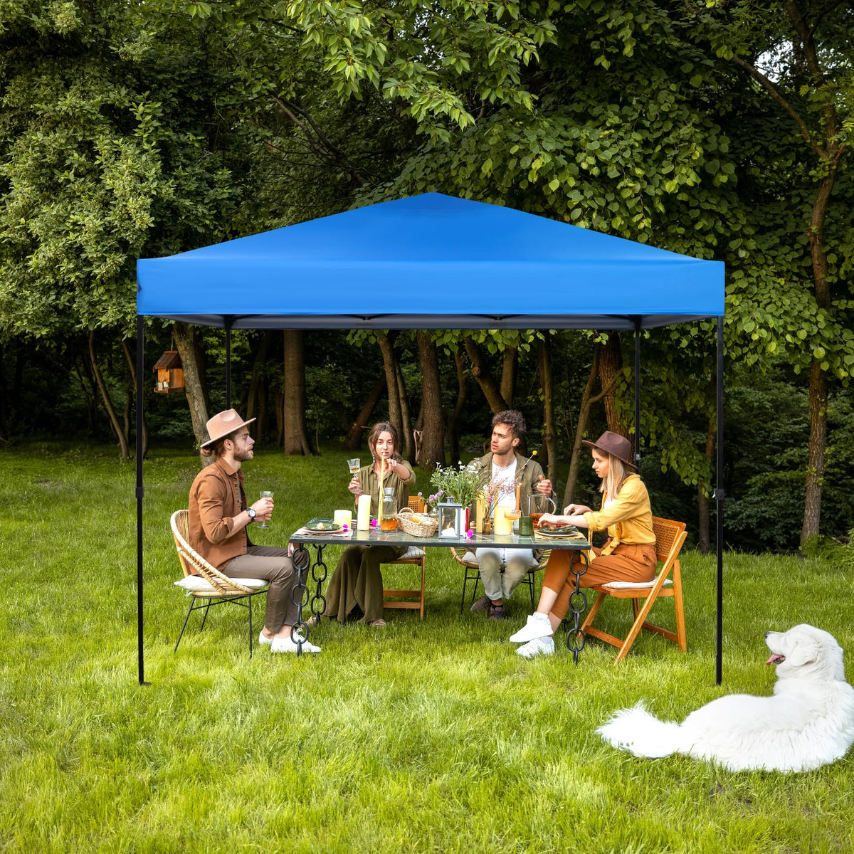 GOTRUTH replacement canopy top packaged for storage