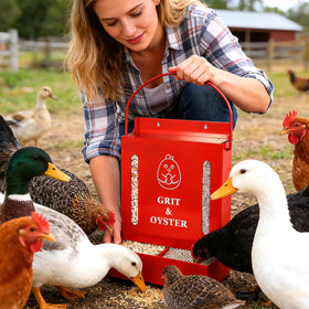 GQNDGN Grit Feeder dual chamber keeps grit and shells separate for better digestion.