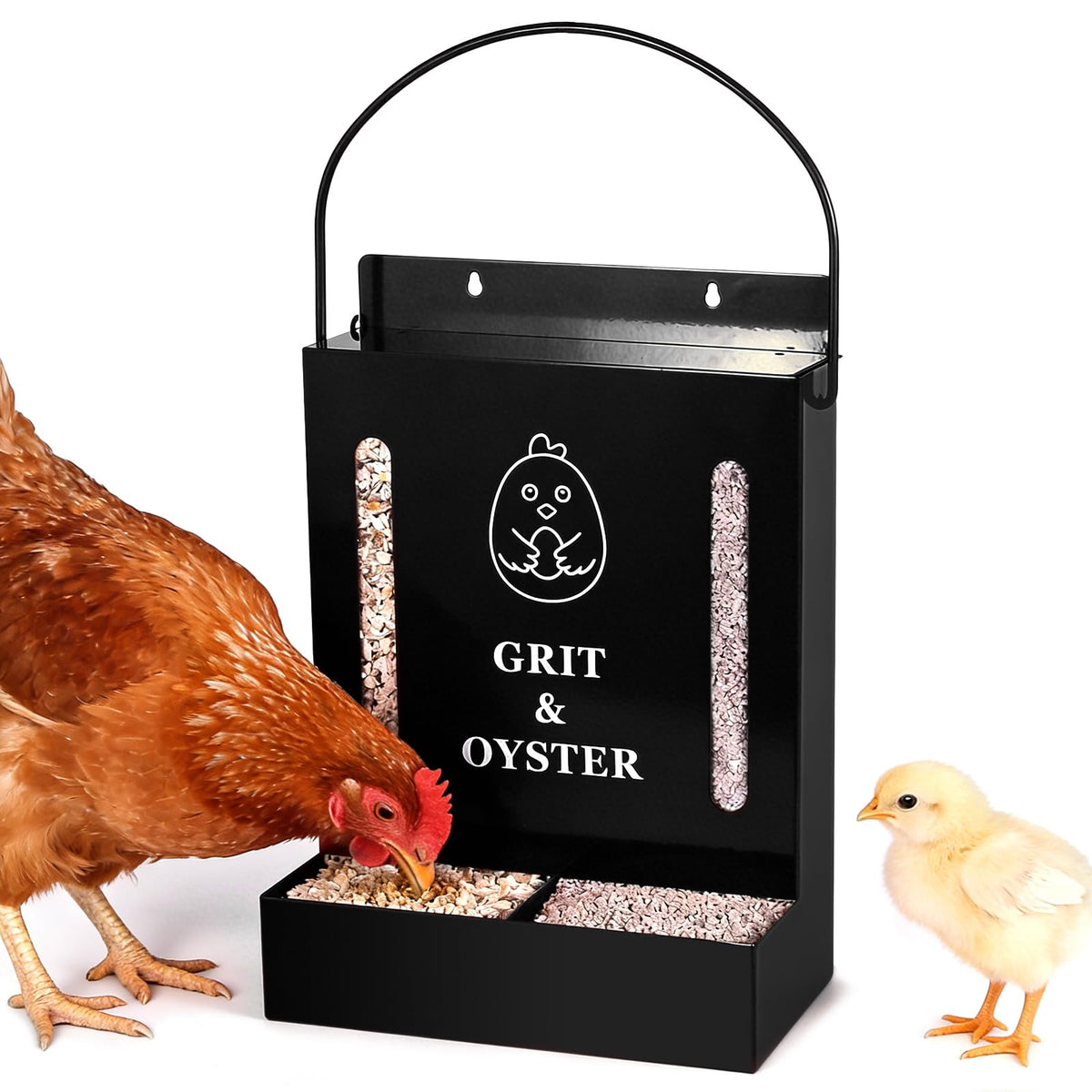 GQNDGN oyster shell and grit feeder with visual window to monitor supplies