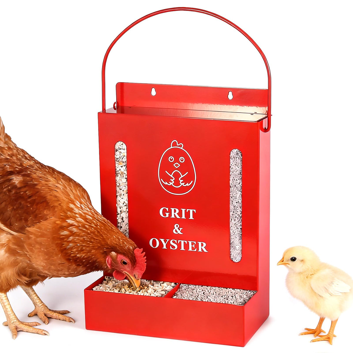 GQNDGN Oyster Shell Feeder with viewing window for easy replenishment in the coop.