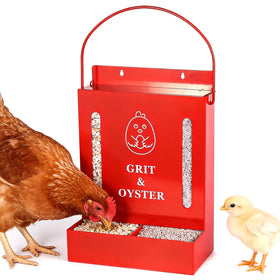 GQNDGN Oyster Shell Feeder with viewing window for easy replenishment in the coop.