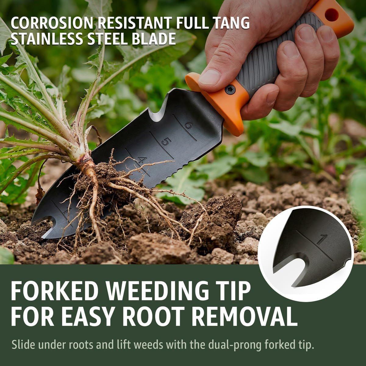 Grand Way Hori Hori knife serrated edge cutting through tough roots.