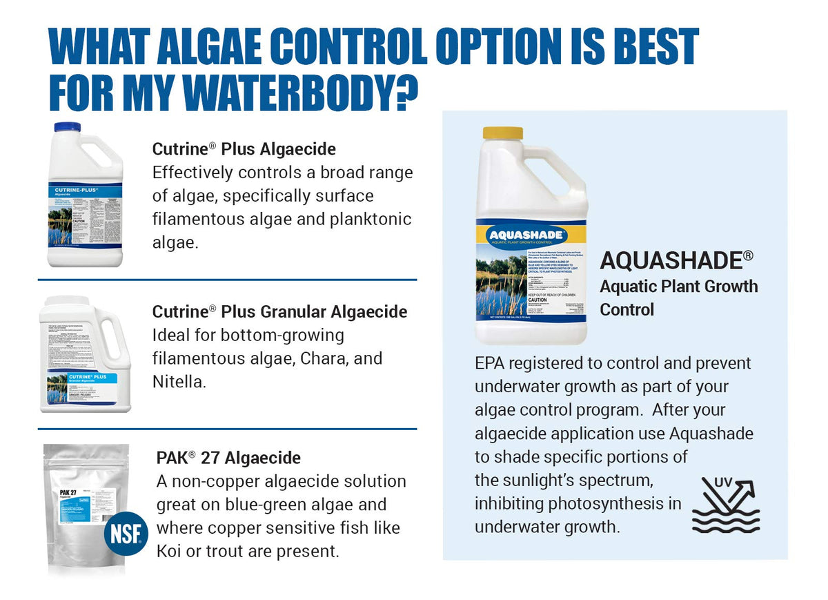 Granular algaecide enhances water clarity after treatment in ponds.