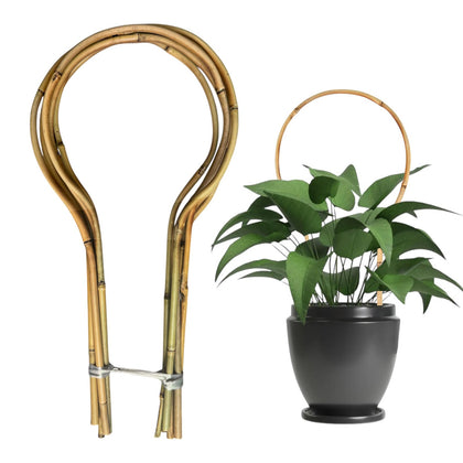Grassen bamboo round trellis 16-inch plant support for climbing vines
