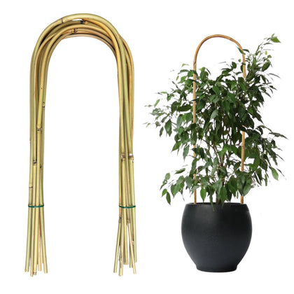 Grassen bamboo U-trellis 16-inch hoop supports climbing vines in pots indoors or outdoors.