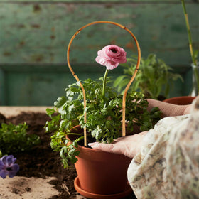 Grassen eco-friendly bamboo stakes provide durable garden support