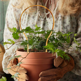Grassen round hoop trellis supports upright growth in potted plants