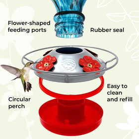 Grateful Gnome feeder features four flower ports and a circular perch for hummingbirds