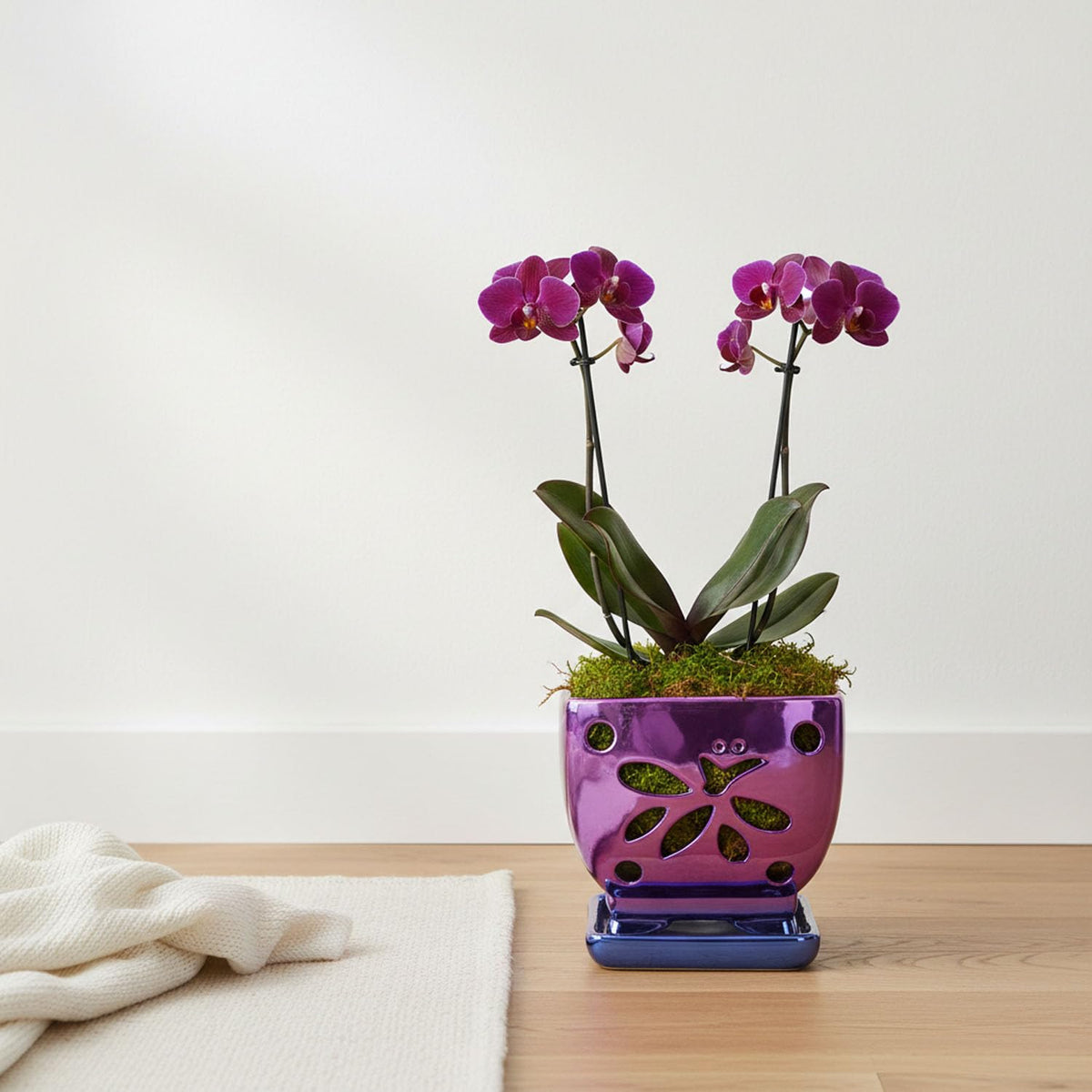 Grdthzey aeration holes around purple ceramic pot improve airflow.