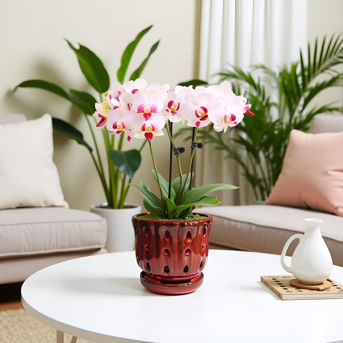 Grdthzey orchid pot ships as empty container ready for planting.