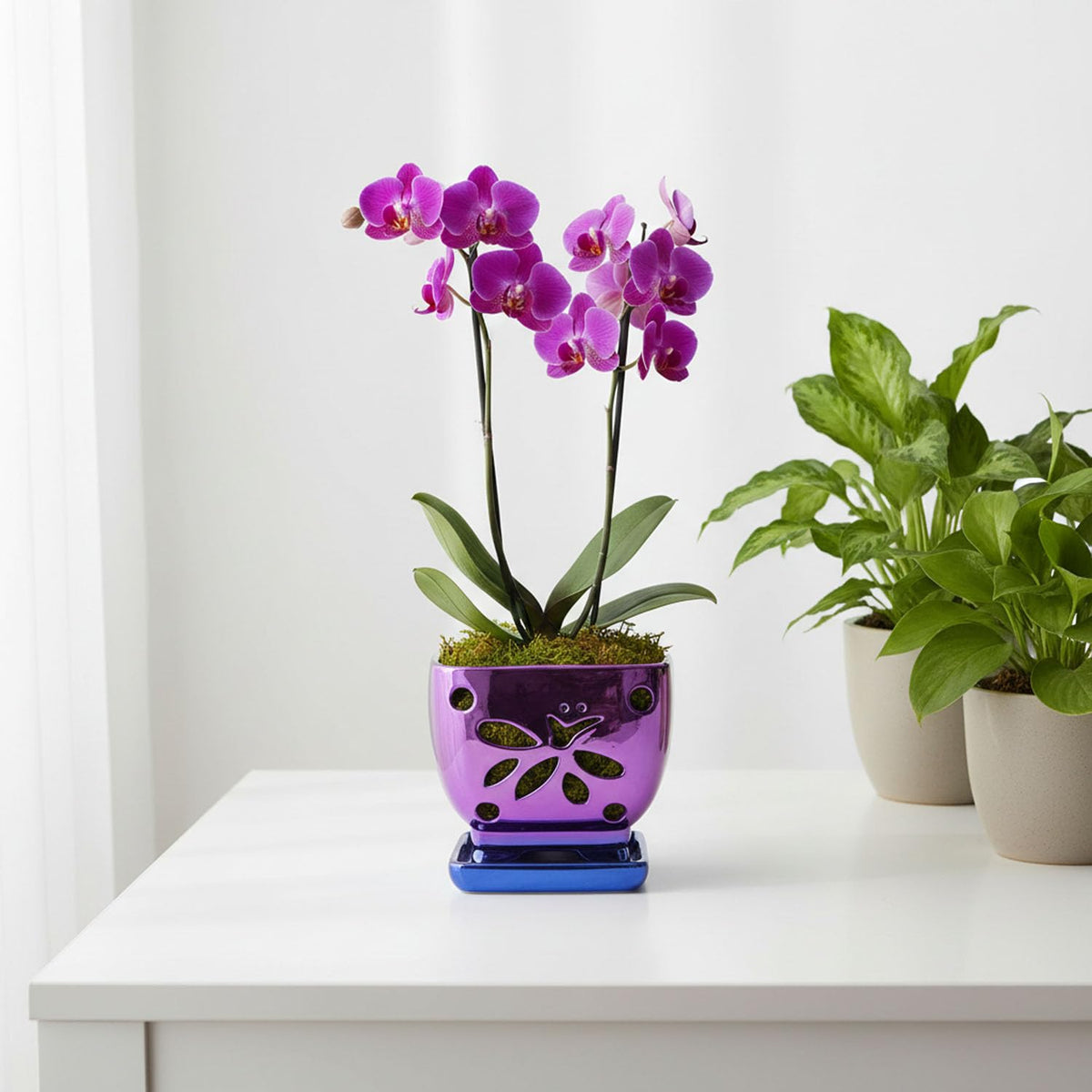 Grdthzey glazed purple pearl orchid pot showing depth and gloss.