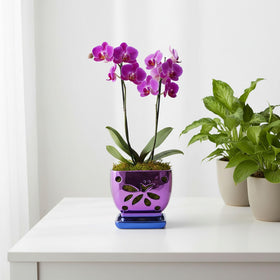Grdthzey glazed purple pearl orchid pot showing depth and gloss.
