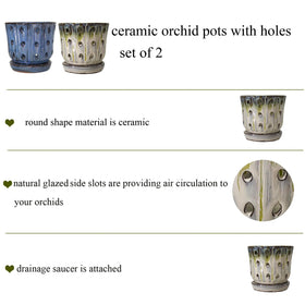 Grdthzey orchid pot drainage holes emphasize healthy root airflow.