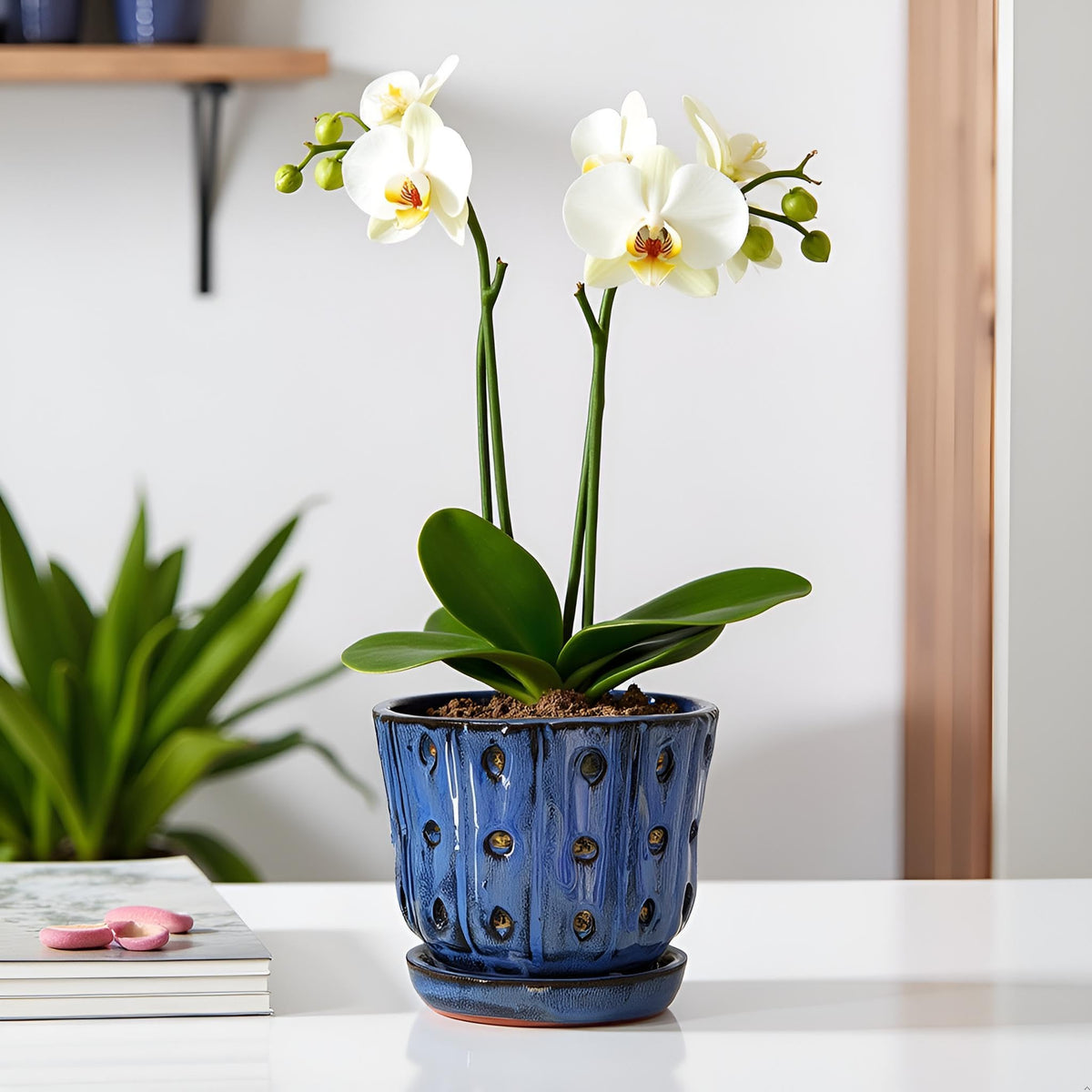 Grdthzey orchid pot set of 2 offers coordinated color pairing.