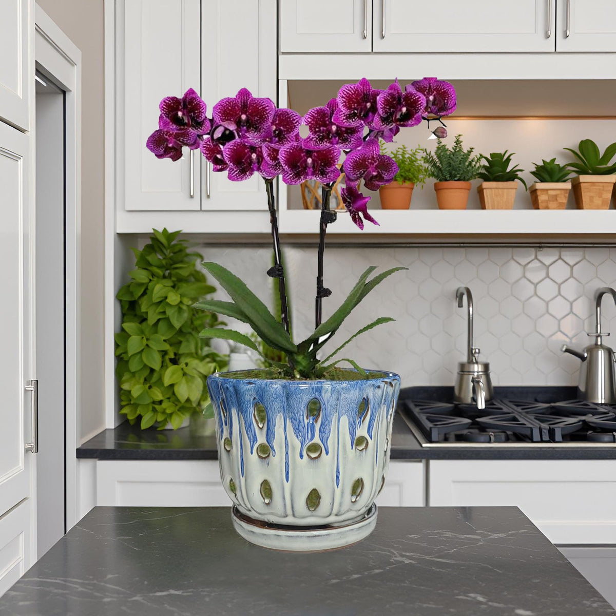 Grdthzey orchid pot placed on a window sill for light.