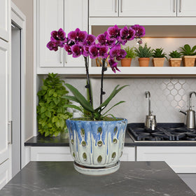 Grdthzey orchid pot placed on a window sill for light.