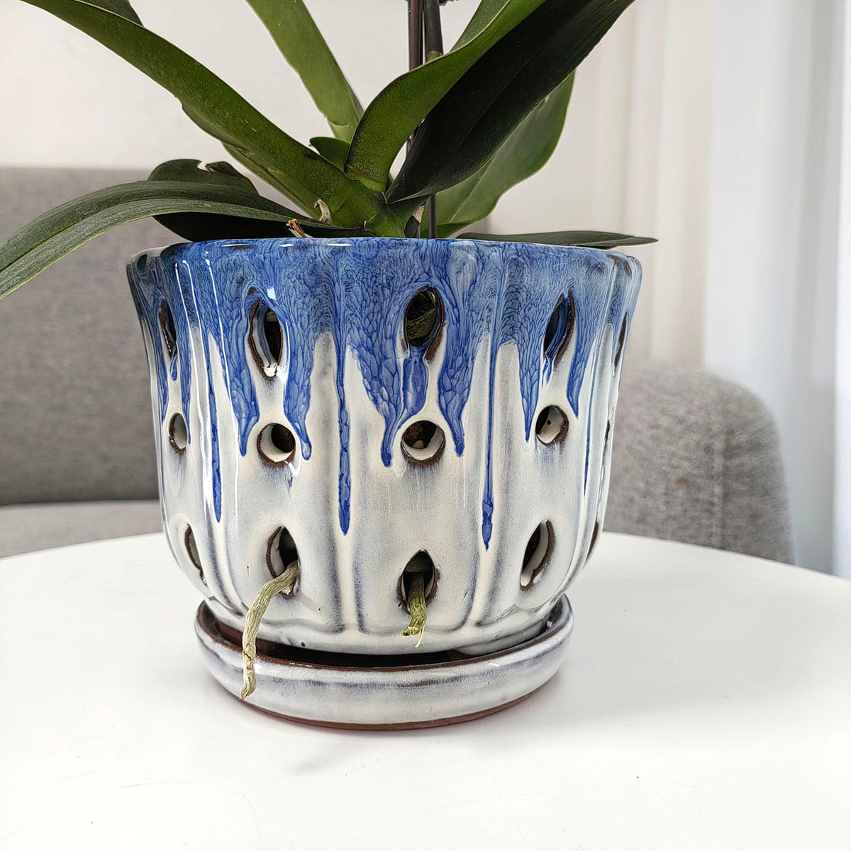 Grdthzey orchid pot shows attached saucer for moisture catch.