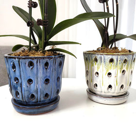 Grdthzey orchid pot with saucer protects surfaces and keeps pots tidy.