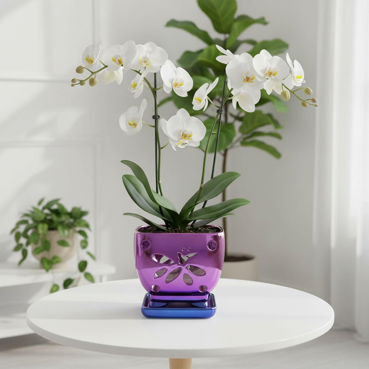 Grdthzey compact 5.5-inch orchid pot fits windowsill spaces.