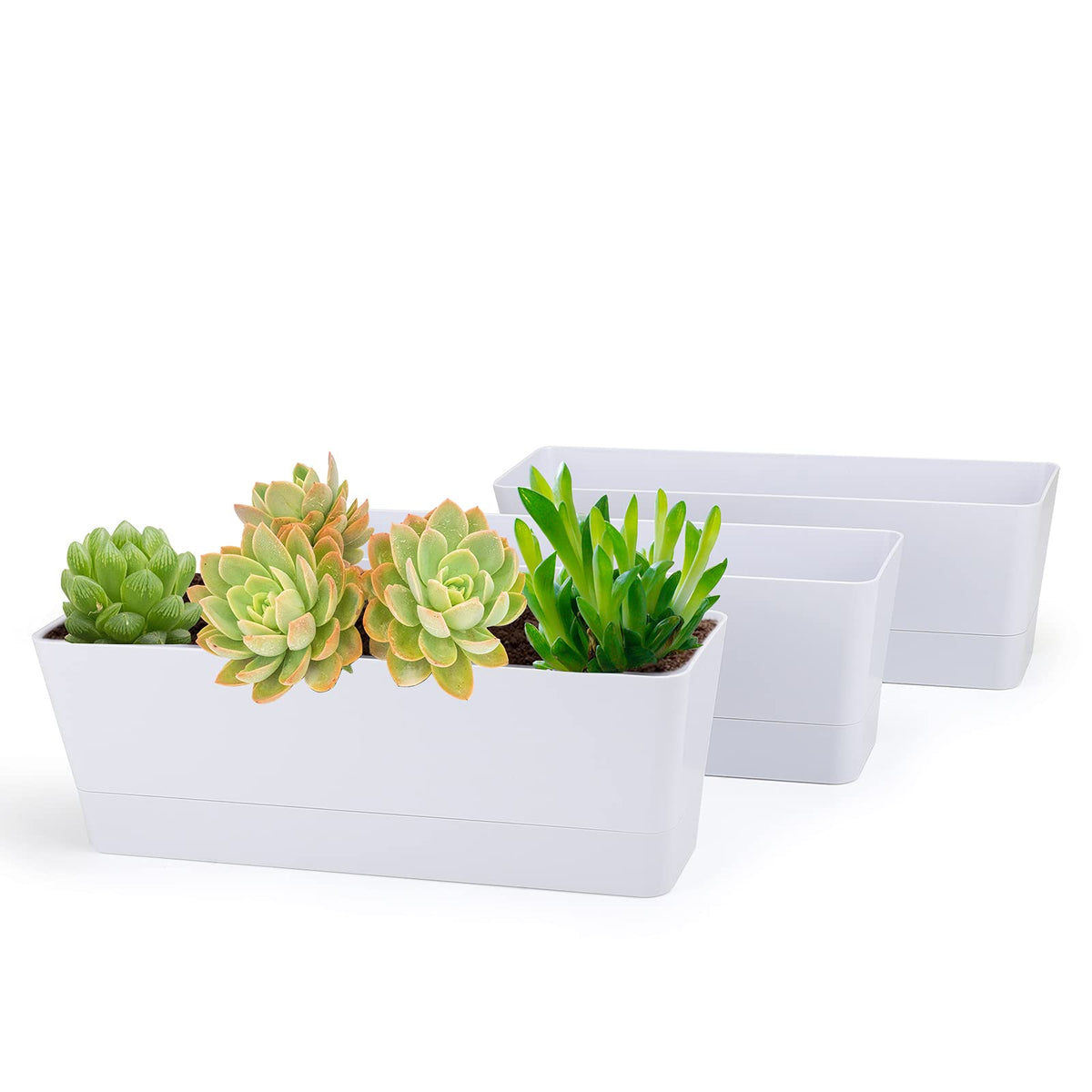 GREANER flower boxes 3-pack window box set for compact herb gardening