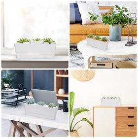 GREANER indoor-outdoor rectangular planter on windowsill ideal for herbs