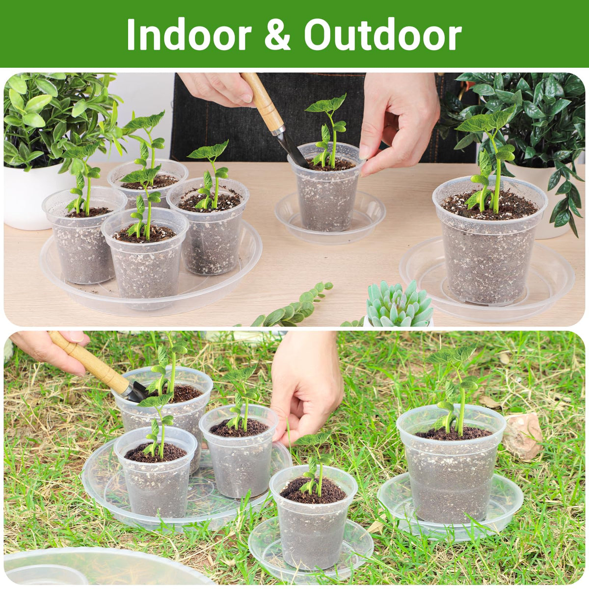 GREANER no-hole plant tray designed for drip-free plant care.
