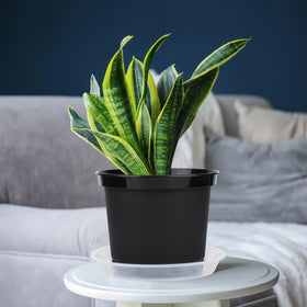 GREANER nursery pots are eco-friendly and reusable for ongoing gardening projects