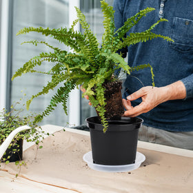Premium PP material in GREANER pots delivering durable, eco-conscious gardening solutions