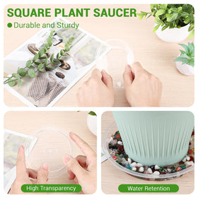 GREANER 4-inch clear plant saucer outdoors guards pots against weather.