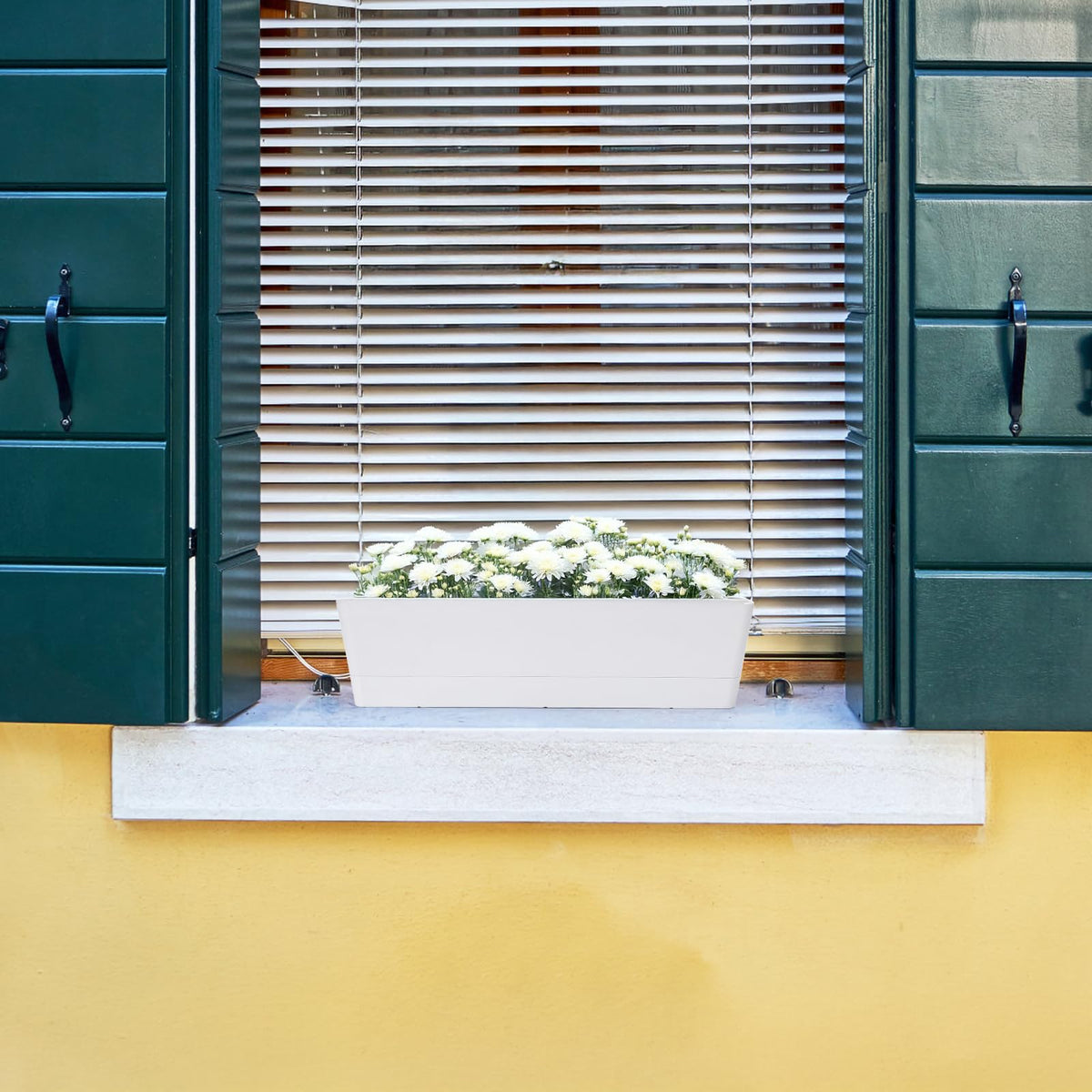 GREANER rectangle design fits desks patios balconies for decorative greenery