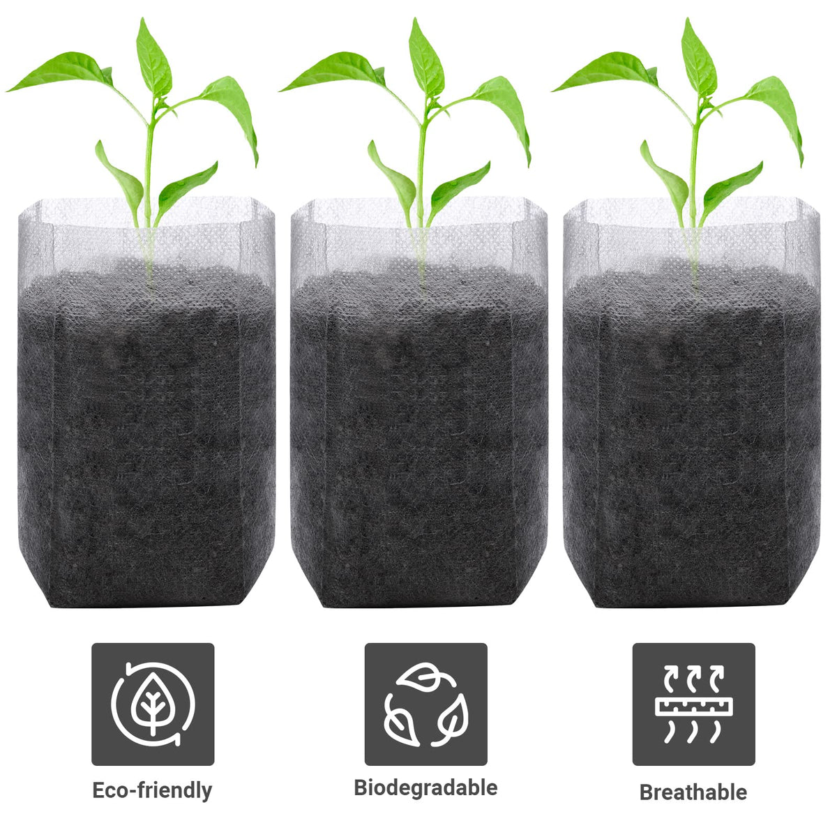 GREANER seedling bag planted in ground showing direct-soil deployment.