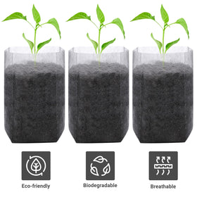 GREANER seedling bag planted in ground showing direct-soil deployment.