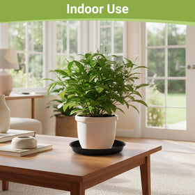 GREANER versatile tray for balcony, indoors, patios, and kitchens