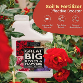 Great Big Plants immediate action at the root zone for faster growth