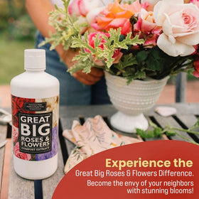 Great Big Plants made in USA by a family-owned small business