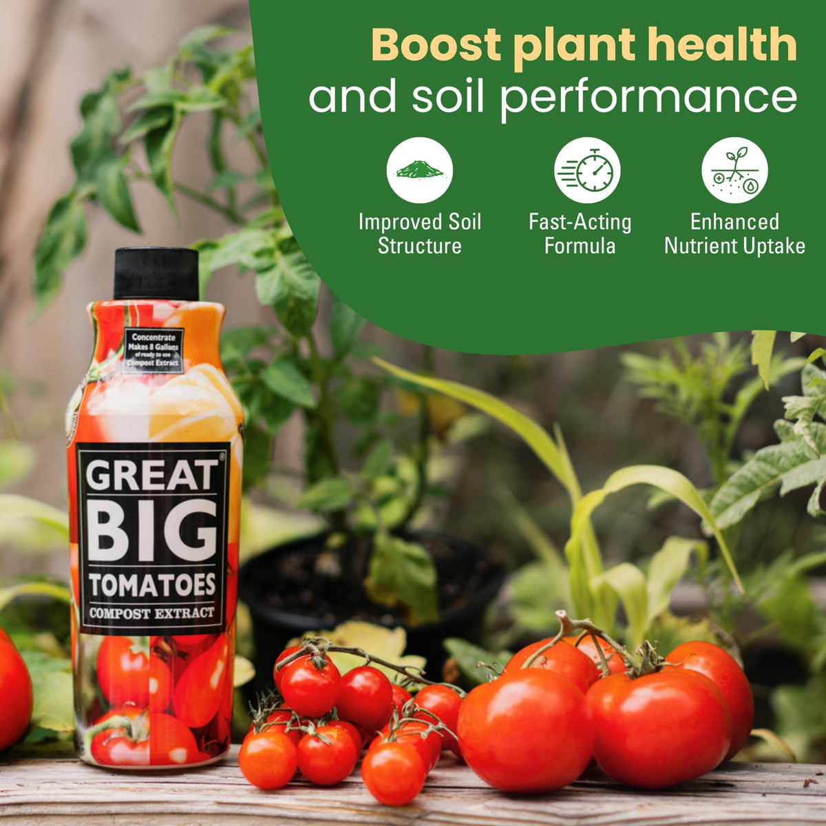 Great Big Plants soil booster application around the base of a tomato plant.