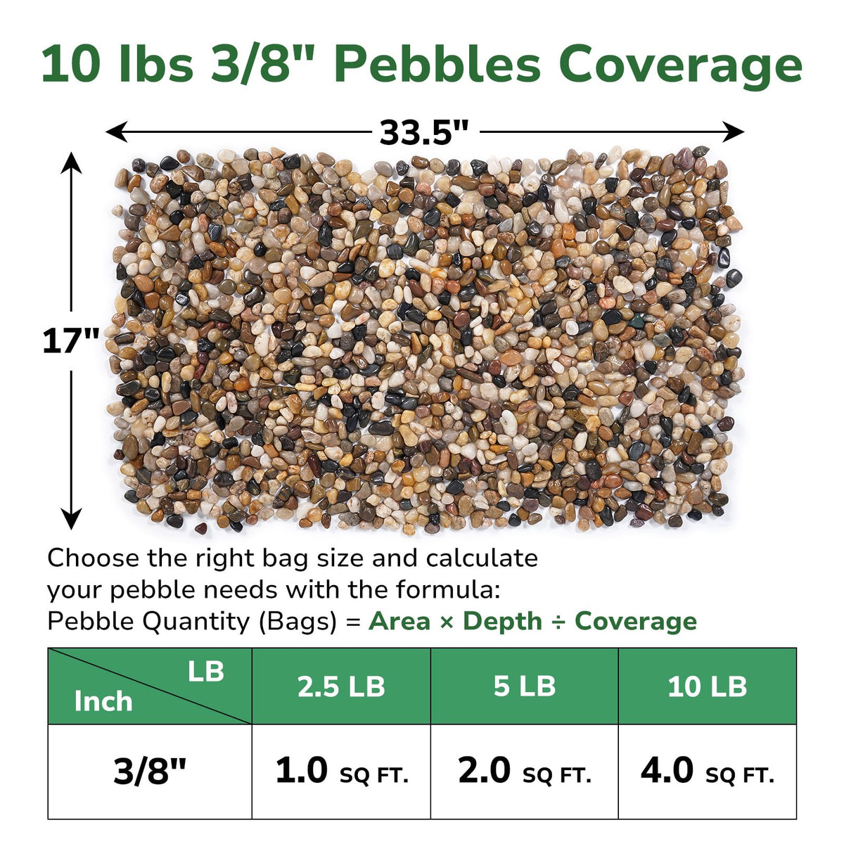 GreatBuddy succulents terrarium pebbles provide clean drainage and contrast.