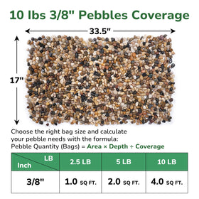 GreatBuddy succulents terrarium pebbles provide clean drainage and contrast.