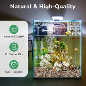 GreatBuddy terrarium drainage stones help manage humidity and soil moisture.