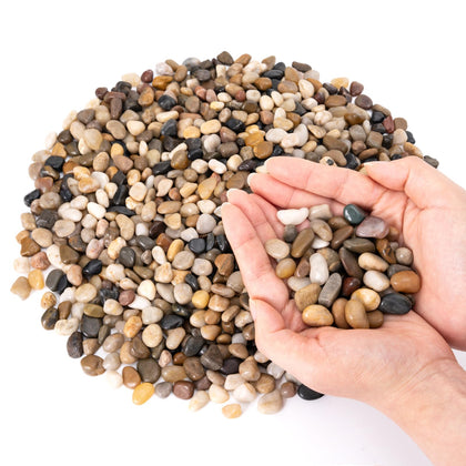 GreatBuddy three-eighth-inch pebbles brighten indoor plant pots with moisture-friendly texture.